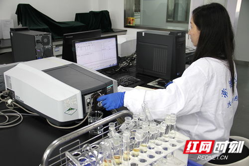 常德水文中心推出灌區水質監測服務，水資源管理網絡技術再添新翼