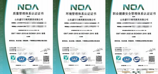 濱州ISO三體系與濰坊ISO體系認證咨詢服務及網絡技術支持